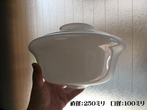 別売りガラスシェード　(Aトロ型　オパール　10吋　4吋口)　ISGK:05-16-OP
